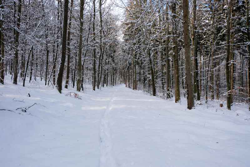 Irchel Schnee 1